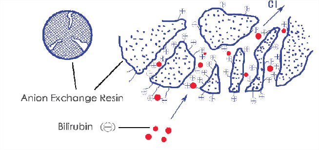 Absorption mechanism